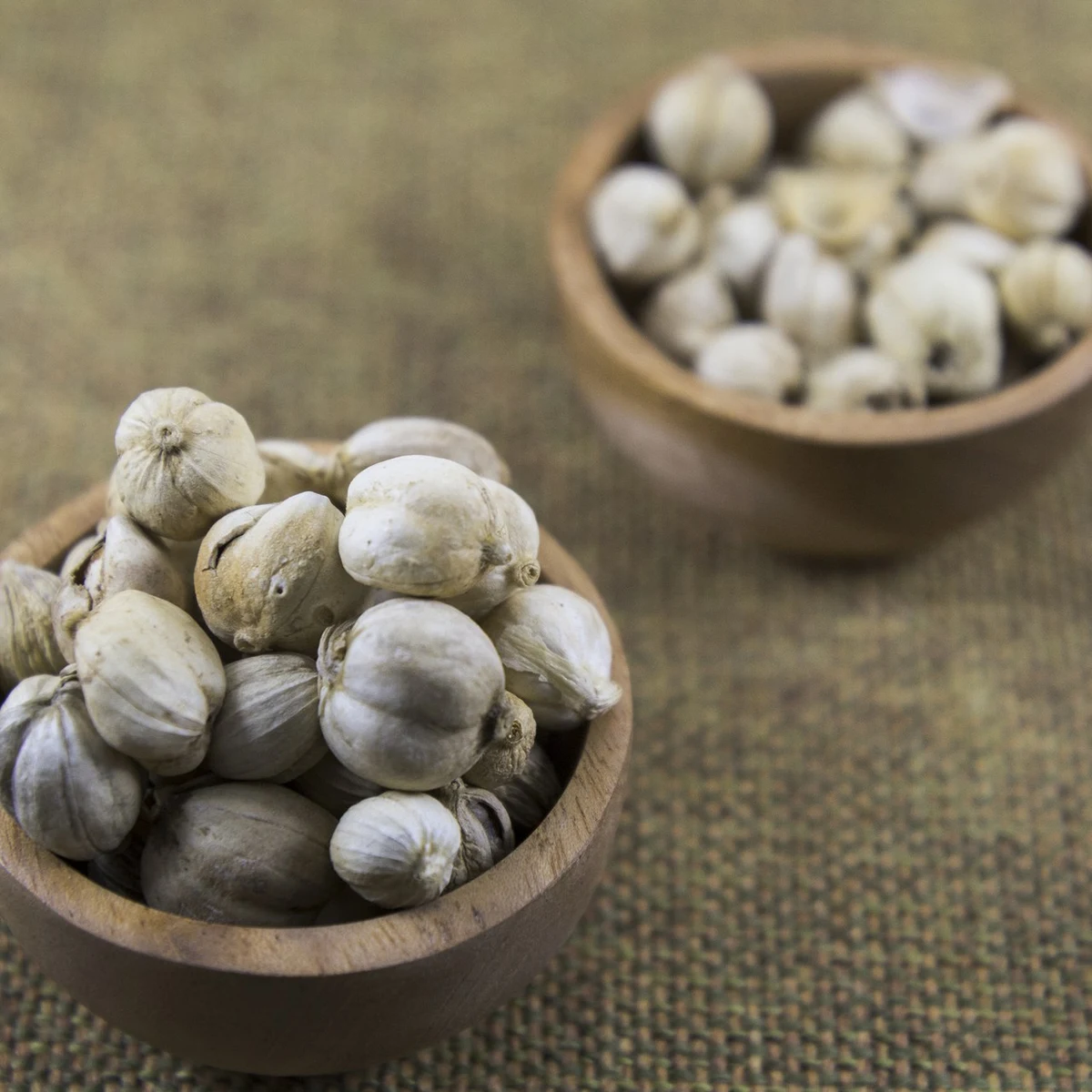 Sun-dried kapulaga putih (white cardamom) — Tasikmalaya