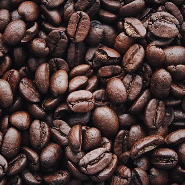 Green Coffee Beans (Kopi Biji Hijau)