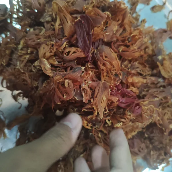 Mace (Fuli)